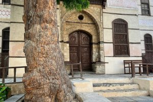 التربيةُ محركٌ وقوده الأنفة الثقافية