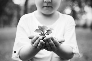 Little boy holding a plant